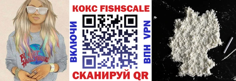 Кокаин FishScale  продажа наркотиков  Гаврилов Посад 
