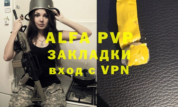 сатива Алзамай