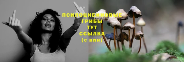индика Сатка